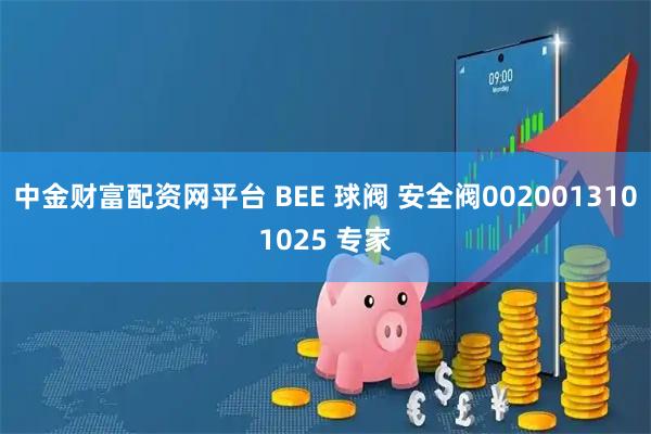 中金财富配资网平台 BEE 球阀 安全阀0020013101025 专家